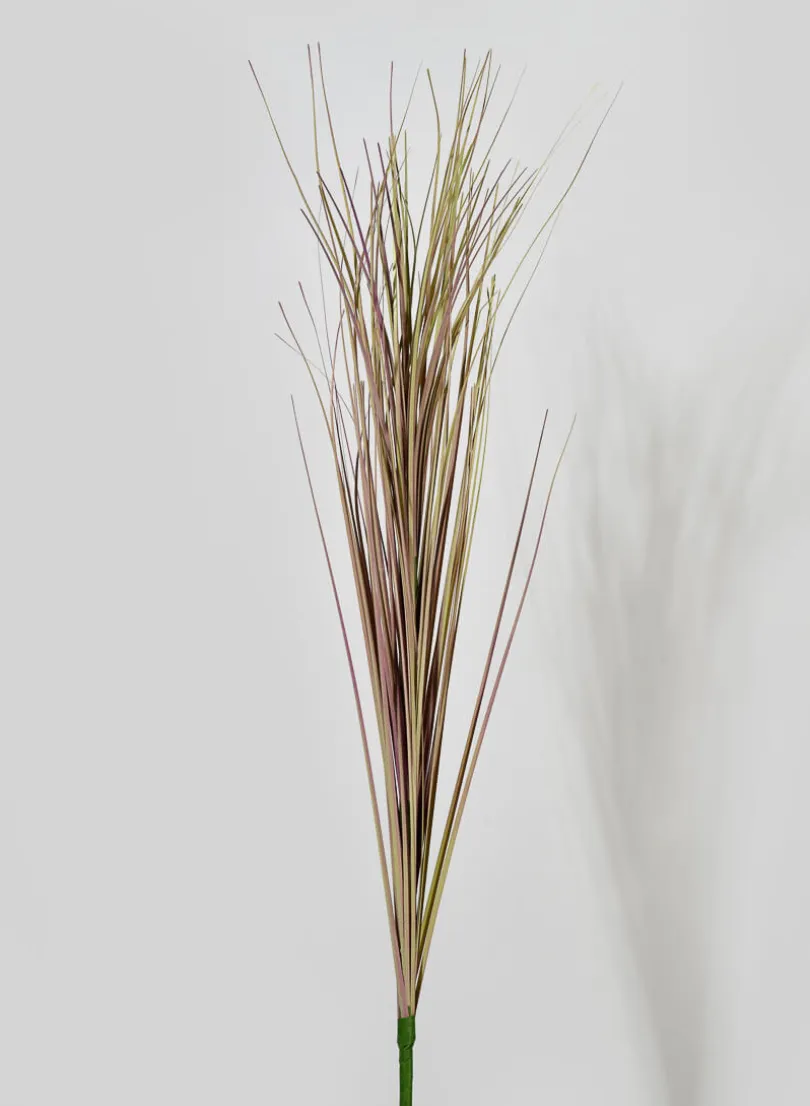 30in Long Dry Onion Grass Pick