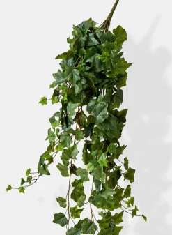51in Long English Ivy Hanger, Case of 4