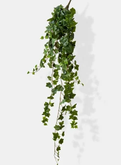 51in Long English Ivy Hanger, Case of 4