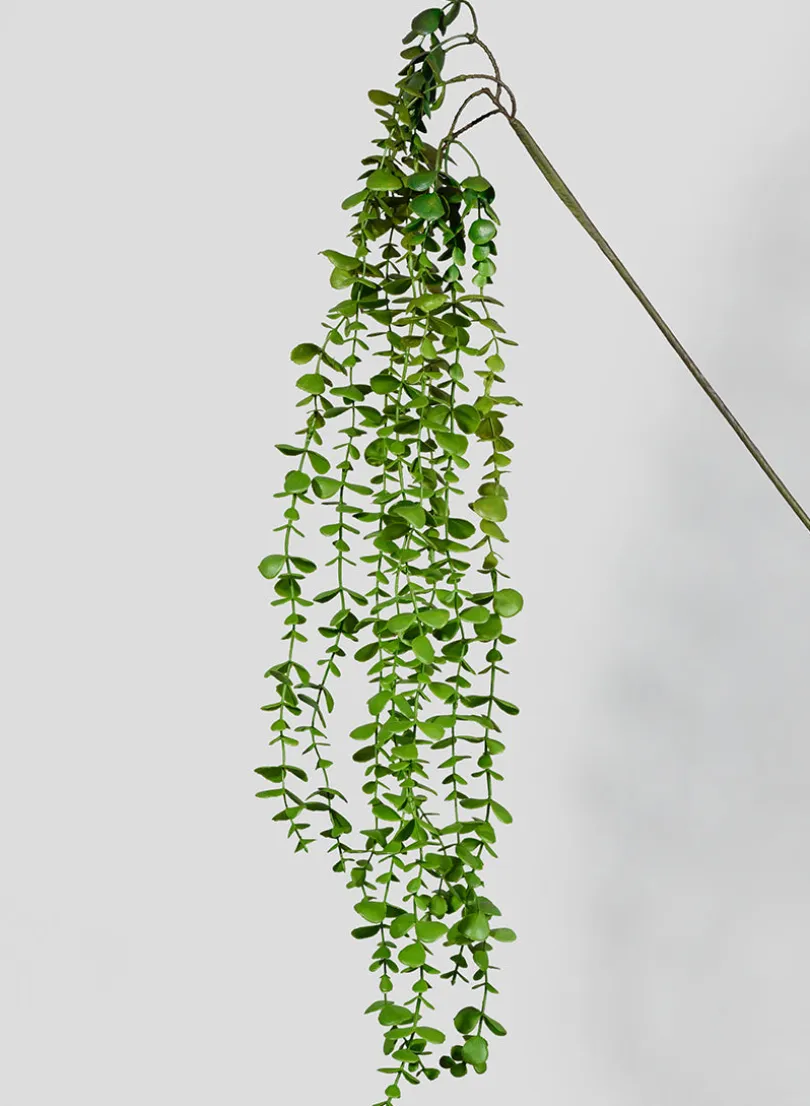 44in Long Eucalyptus Vine