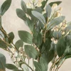 34in Long Evergreen White Berry Pick, Case of 6