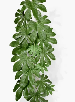 52in Long Fatsia Japonica Leaf Vine, Case of 6