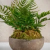 24in Long Fern Bush, Case of 12