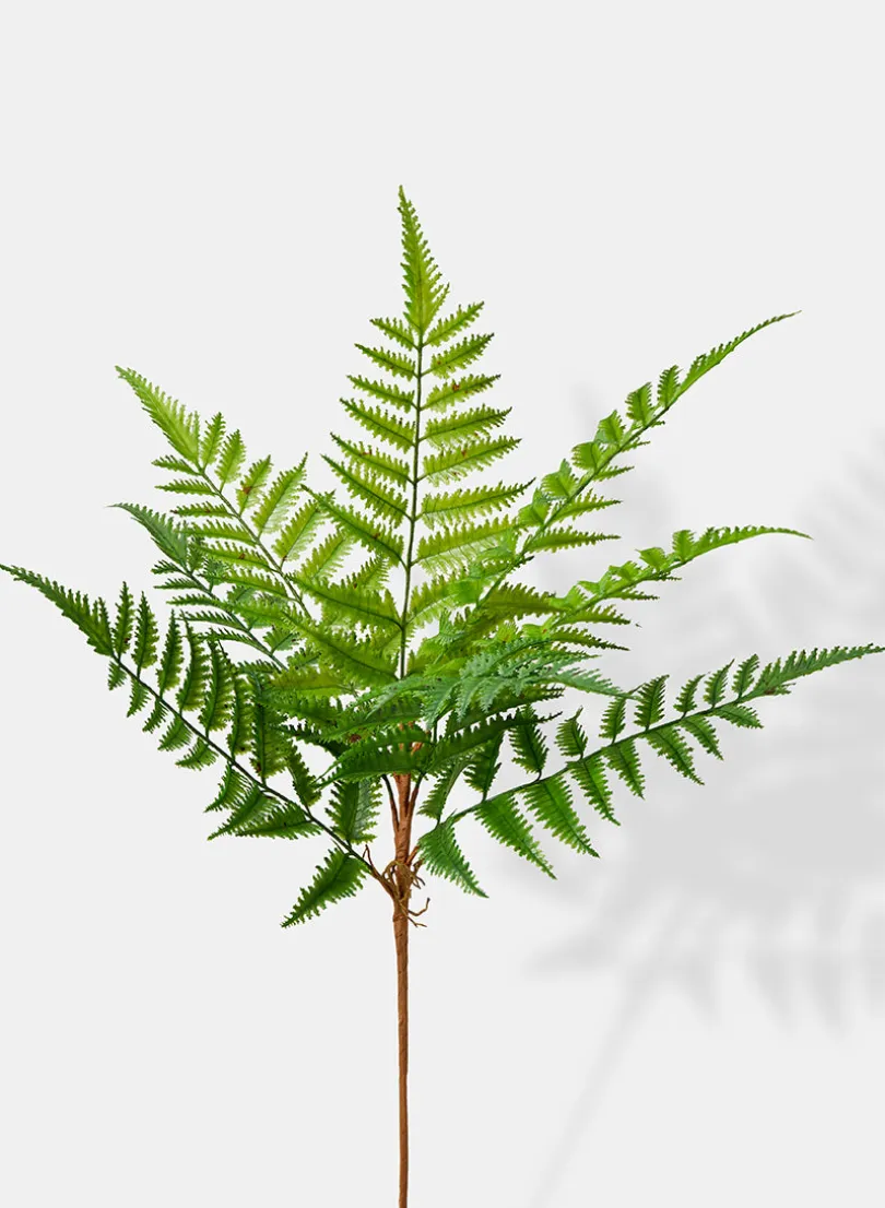 24in Long Fern Bush, Case of 12