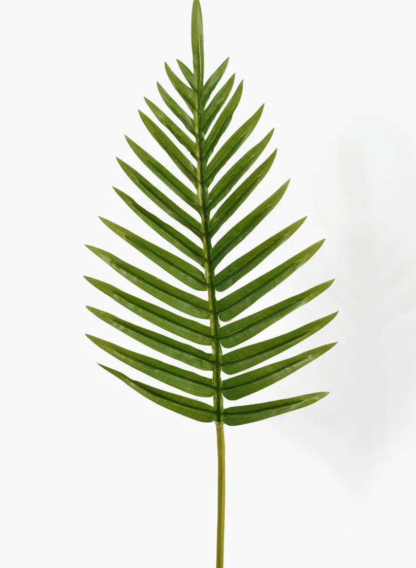 26in Long Fern Leaf, Case of 12