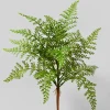 17in Long Fern Pick, Case of 12