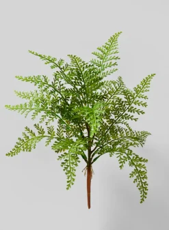17in Long Fern Pick, Case of 12