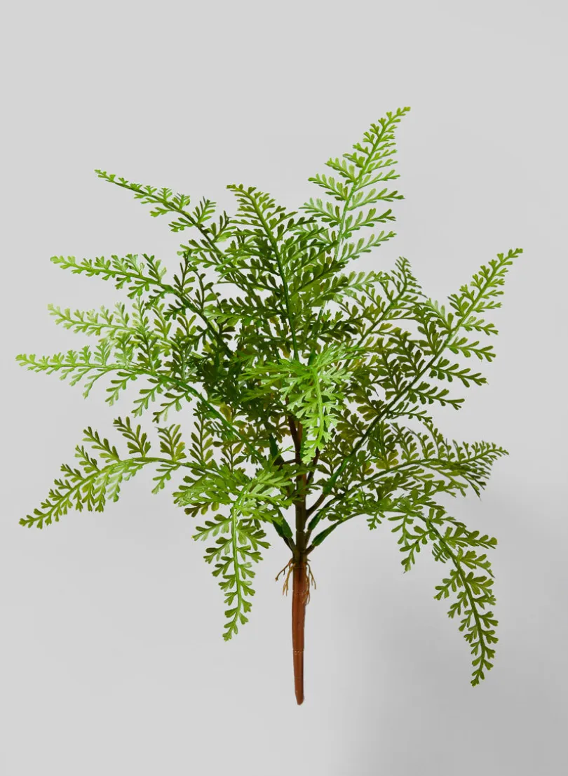 17in Long Fern Pick, Case of 12