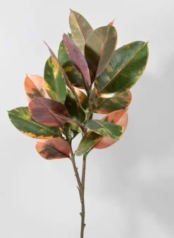 38.5in Long Ficus Elastica Leave Spray, Case of 12