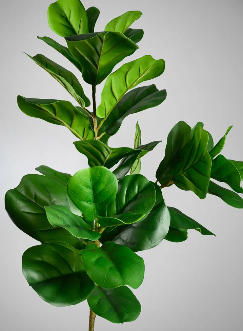 47in Long Fiddle Leaf Fig Branch, Case of 6