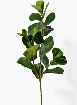 30in Long Fiddle Leaf Fig Spray, Case of 12