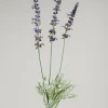 26in Long Garden Lavender Spray, Case of 12