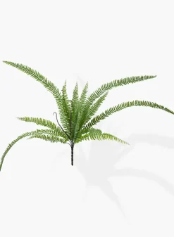 37in Long Giant Boston Fern Pick, Case of 12