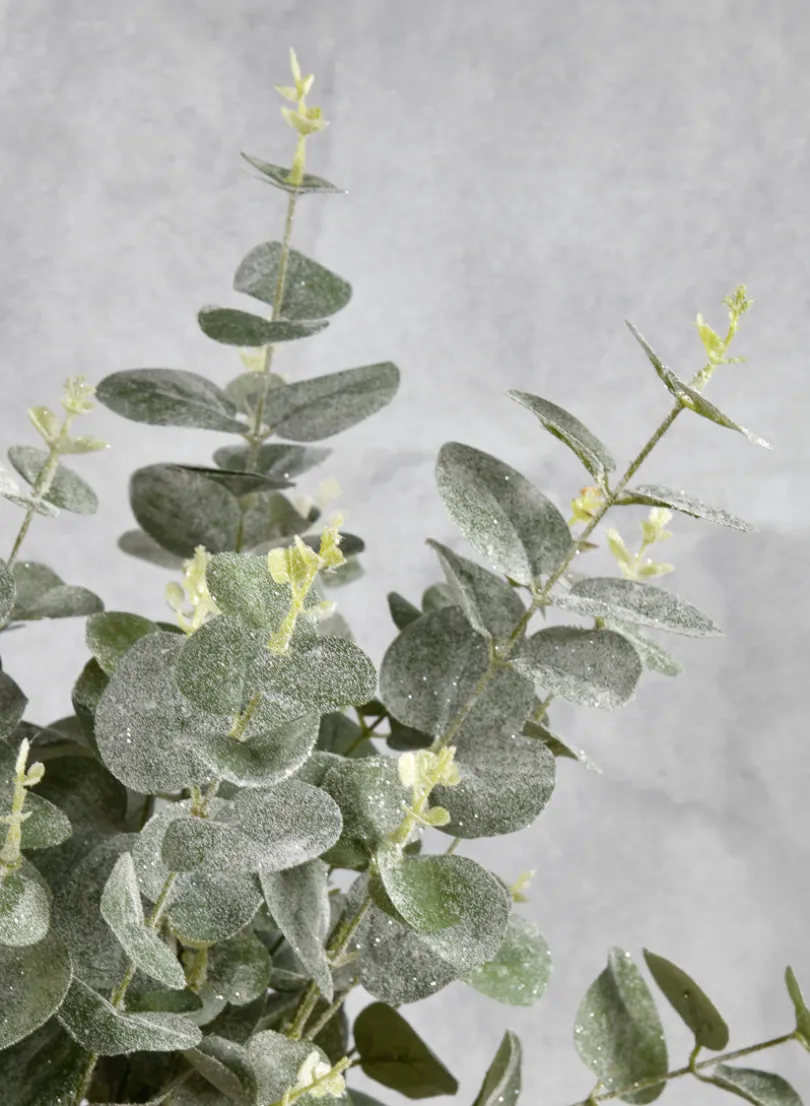 33in Long Glitter Frost Eucalyptus Leave Spray, Case of 12