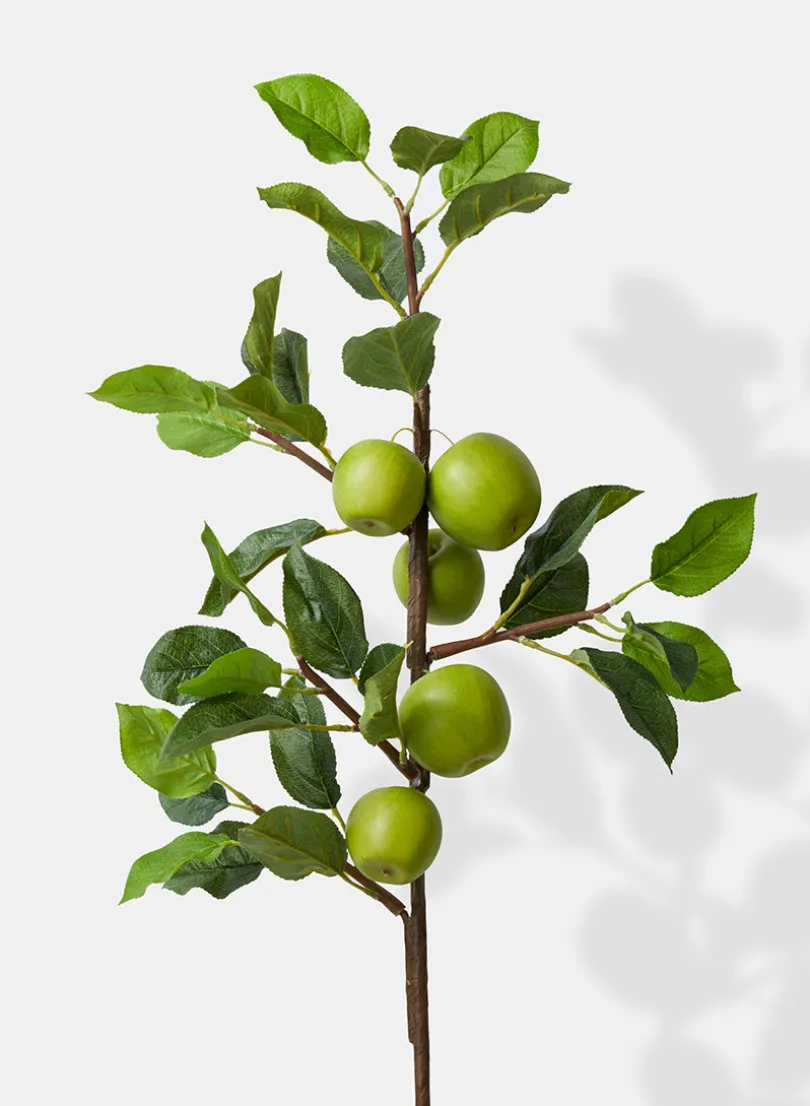 36in Long Green Apple Branch, Case of 6