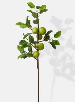 36in Long Green Apple Branch, Case of 6