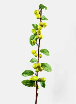 37in Long Green Berry Branch