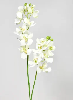 33in Long Green Double Orchid Stem, Case of 12