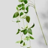 34in Long Green Leaves Pick, Case of 12
