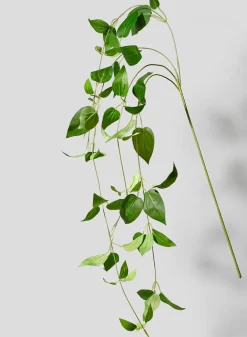 34in Long Green Leaves Pick, Case of 12