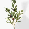 32in Long Green Olive Tree Branch, Case of 12