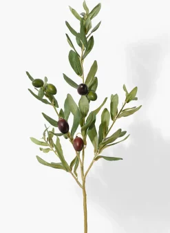 32in Long Green Olive Tree Branch, Case of 12