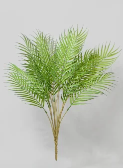 30in Long Green Palm Leaves Pick, Case of 12