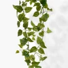 78in Long Green Potos Vine, Case of 6