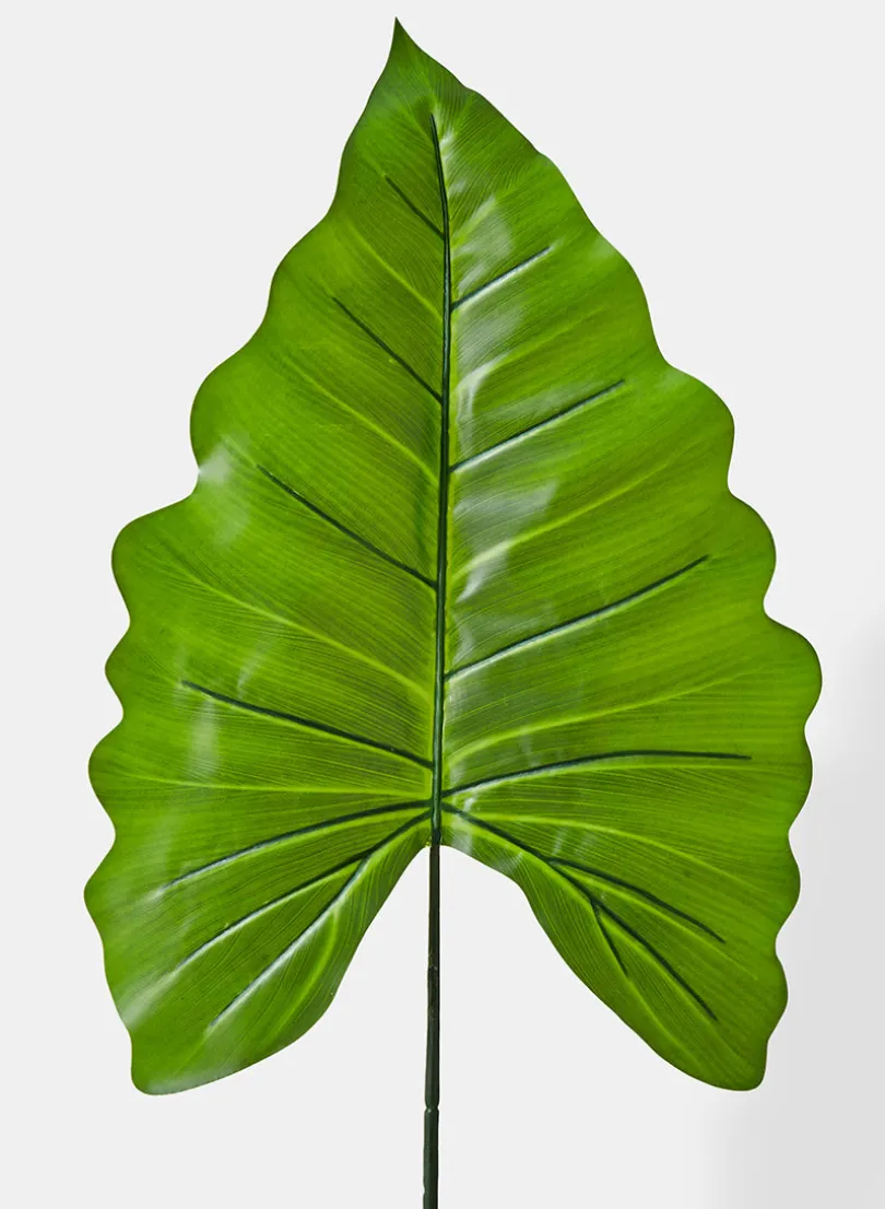 43in Long Green Princess Leaf, Case of 12