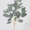 30in Long Green Seeded Eucalyptus Pick, Case of 12