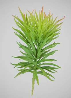 7in Long Happy Bean Succulent Pick, Case of 12