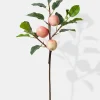 29in Long Honeycrisp Apple Pick, Case of 6