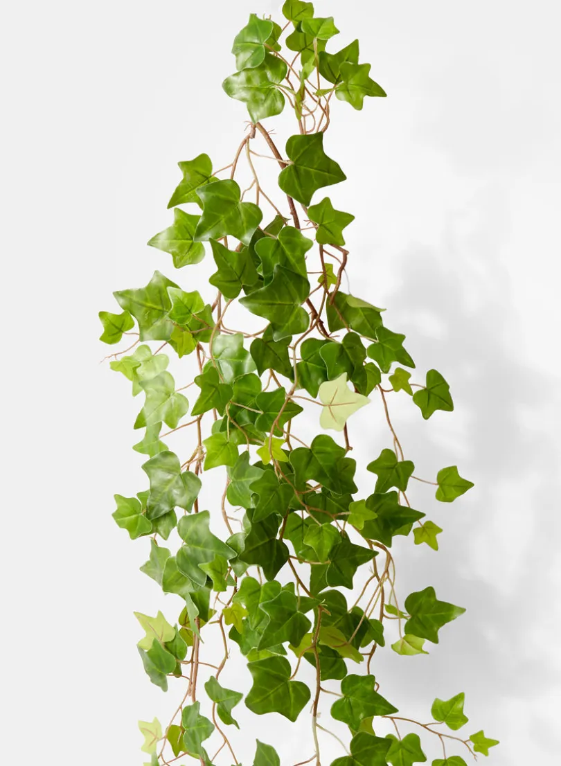 54in Long Ivy Hanging Bush