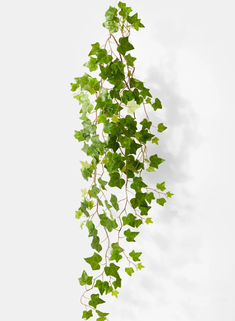 54in Long Ivy Hanging Bush