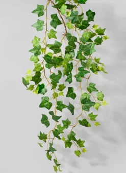 41in Long Ivy Hanging, Case of 12
