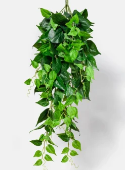 35in Long Jade Pothos Hanging Bush