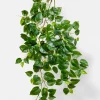 41in Long Jade Pothos Spray