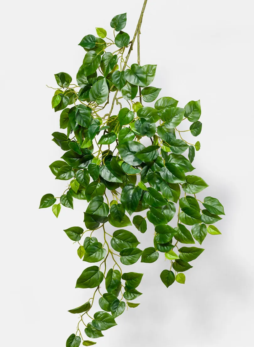 41in Long Jade Pothos Spray