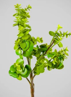 13in Long Jade Spray, Case of 12