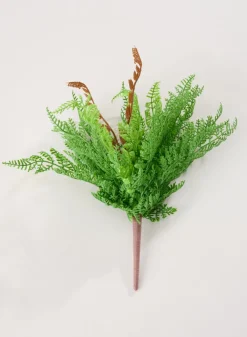12in Long Kimberley Fern Bush, Case of 12