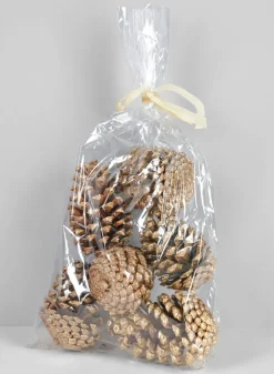 4in Long Large Golden Pinecone