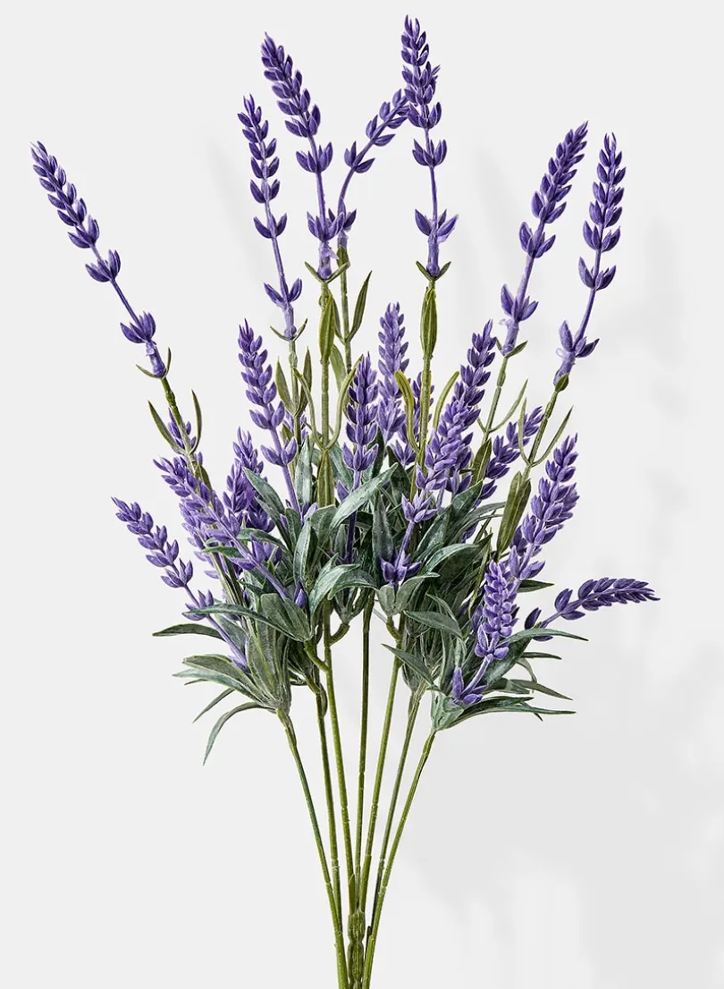 19in Long Lavender Bunch, Case of 12