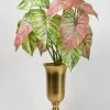 24in Long 5 Leaf Variegated Caladium Stem, Case of 12