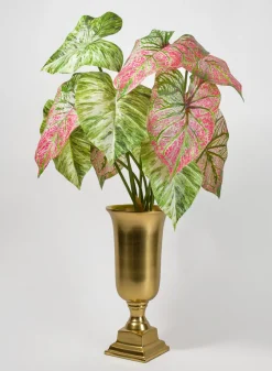 24in Long 5 Leaf Variegated Caladium Stem, Case of 12