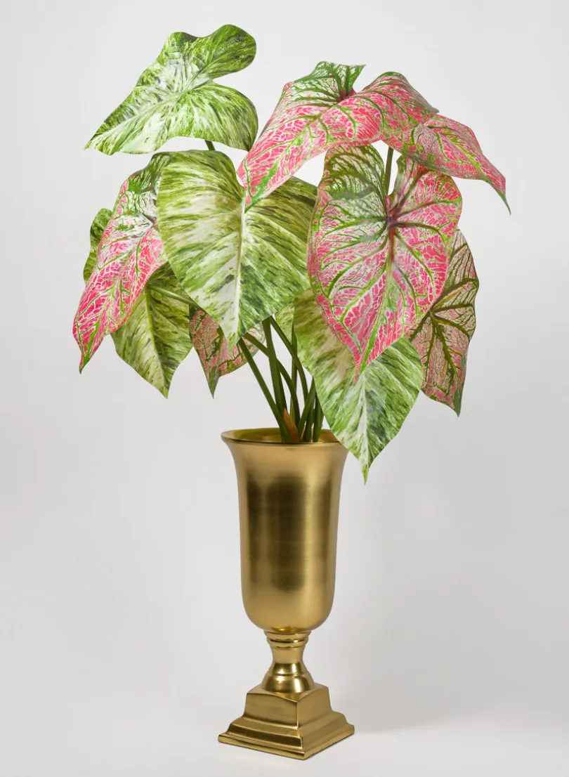 24in Long 5 Leaf Variegated Caladium Stem, Case of 12