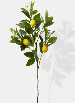 30in Long Lemon Tree Branch