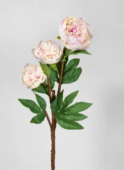 35in Long Light Pink Garden Peony Stem, Case of 12