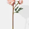 20in Long Light Pink Peony, Case of 12