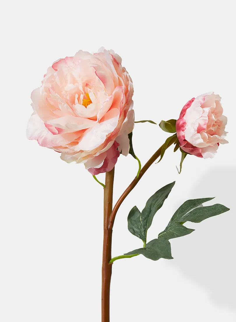 20in Long Light Pink Peony, Case of 12