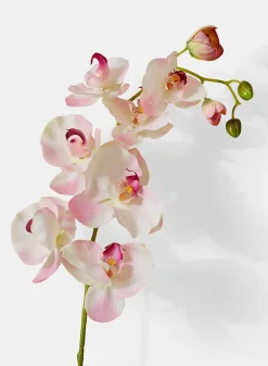 43in Long Light Pink Phalaenopsis Orchid Spray, Case of 12